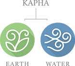 カパのアイコン